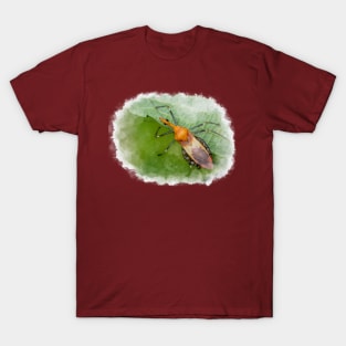 Organic watercolour of a brightly coloured Assassin Bug (Reduviidae) T-Shirt